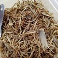マンダリ's cooksnap of when they made 体の中から綺麗になれるごぼう茶.