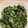 とじゅんこし's cooksnap of when they made 簡単おいしい高菜の油炒め.