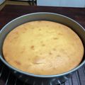ニコ吉's cooksnap of when they made 栄養士がつくる基本のチーズケーキ.