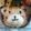 Ｋ—ＴＯママ's cooksnap of when they made ＊キャラ弁＊かわいいクマちゃん.
