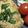 よろずやおよよ's cooksnap of when they made 梅ひじき豆腐おからの和風ハンバーグ.