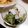 チコリママ's cooksnap of when they made うちの酢の物.