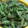 あべたかはし's cooksnap of when they made 枝豆茹で方☆簡単.