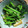 あゆはと's cooksnap of when they made からし菜と厚揚げのエスニック炒め.