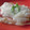 chus's cooksnap of when they made 簡単！！ふんわりもちもち手作りピザ♪.
