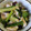 ネコ吉★'s cooksnap of when they made 蒸し鶏と小ネギのサラダ.