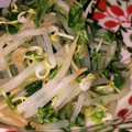 NEKOほっぺ's cooksnap of when they made モヤシと豆苗のナムル風和え物.