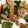 クックZ8J4H4☆'s cooksnap of when they made 豚肉とちくわの炒め煮.