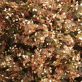 ういき☆彡's cooksnap of when they made だし昆布＆鰹節をリメイク！簡単ふりかけ.