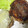 ぷーとんR's cooksnap of when they made 定番！簡単！ハンバーグ.