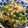 Rits1013's cooksnap of when they made ピーマンとしめじ、シラスの塩昆布炒め.