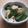 きらり流れ星's cooksnap of when they made パパのねぎと鶏肉の煮込み.