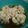 徳川新之助's cooksnap of when they made 冬の味覚〜鱈白子の煮付け☆柚子風味.