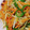 hama5's cooksnap of when they made ☆もやしの野菜炒め☆.