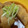 クック0CS64I☆'s cooksnap of when they made カレイの煮付け.
