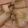 カクヨ's cooksnap of when they made 簡単シンプル チコリーのバルサミコ酢炒め.