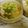 さくらん餅's cooksnap of when they made ちょ〜簡単ダイエットかさましスープ.