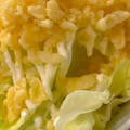 MULA's cooksnap of when they made 揚げ玉とレタスのめんつゆマヨネーズサラダ.