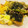 わか★'s cooksnap of when they made ひと手間10分！サンマの蒲焼の卵とじ丼♡.