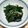 ともこキッチン's cooksnap of when they made プチヴェールの下処理方法.