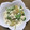 ビキナーもんちゃん's cooksnap of when they made 数の子の白和え.