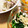 あたむ❤189's cooksnap of when they made ほうれん草とえのきのごま和え.