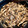 みこひろママ's cooksnap of when they made きのこの生姜焼き【作り置き】.