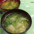 赤い電話's cooksnap of when they made とろとろカブの味噌汁.