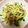 ˚✧₊⁎ゆう˚✧₊⁎'s cooksnap of when they made 生ハムきゅうり胡麻和え.