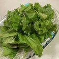 papikun's cooksnap of when they made ♡レタスだけ♡オシャレ超簡単美味サラダ♡.