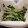 ☆hikonyan☆'s cooksnap of when they made かいわれ☆保存用.