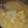 ブランシュkuu's cooksnap of when they made 家の粕汁.