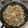 クックY54KSS☆'s cooksnap of when they made 蒟蒻の甘辛煮.