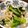 machan37's cooksnap of when they made 雪菜ともやしのおひたし.
