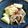 ＊＊ラテ＊＊'s cooksnap of when they made 煮るのは10分！長芋と豚こま・生姜の煮物.