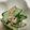 クック0CS64I☆'s cooksnap of when they made ツナときゅうりの無限サラダ.