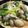 こたいわん's cooksnap of when they made 旨い！牡蠣と白葱の炒め煮.