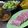 みきんどる's cooksnap of when they made 母直伝♪うちの茹でない塩豚.