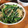 低カロ探検隊's cooksnap of when they made ほうれん草と糸こんのごま和え.