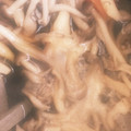 ☆しいたんママ☆'s cooksnap of when they made きのこたっぷりあっさり煮★.