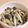 すずなまり's cooksnap of when they made 電子レンジで簡単！しめじとエノキのナムル.