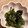おこげ꙳★'s cooksnap of when they made わかめのごま油炒め.