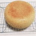 クック2MME83☆'s cooksnap of when they made 炊飯器で簡単♪米粉のマーラーカオ風.