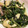 zu87's cooksnap of when they made ほうれん草とエリンギのちりめん炒め.