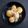 ひさかた's cooksnap of when they made ちび玉ねぎのバルサミコ酢炒め❖生ハムと＊.