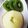 ひっこ's cooksnap of when they made お洒落で簡単＊りんごの切り方＊.