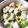 さくさくぱんた's cooksnap of when they made ちくわと枝豆コーンのマヨあえ.