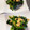 みまゆ's cooksnap of when they made 【作り置き】ほうれん草と揚玉の麺つゆ和え.