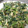 ちゃんのはは's cooksnap of when they made 簡単☆美味しい！大根菜の卵炒め.