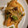 ☆パンLove☆'s cooksnap of when they made キノコたっぷりメカジキの照り焼き.